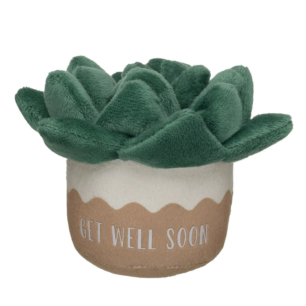 HB GET WELL PLANT - US 3251